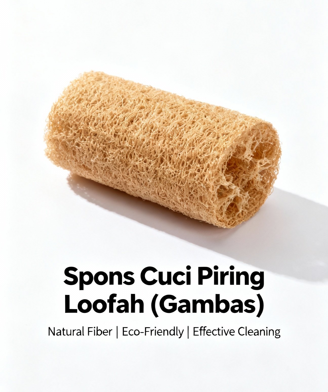 Spons Cuci Piring Loofah (Gambas)